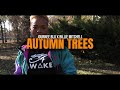 Autumn Trees Journee BLu Feat. Billie Mitchell