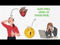 Why You're Always Tired Between 1pm-4pm and What To Do About It (animated video)