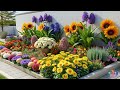 Inspiring Flower Bed Designs for Your Patio | Creating a Stunning Outdoor Oasis