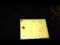 IPad Games for Cats