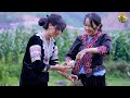 Harvesting & Find Frog Goes to market sell - Cooking - Live with nature - Bếp Trên Bản