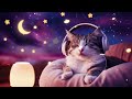 【30minutes】animal bgm🎵　lofi sleep music