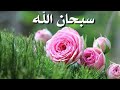 الباقيات الصالحات(سبحان الله،الحمد لله،لا اله الا الله، الله اكبر)مكررة للمساعدة على الذكر👇👇