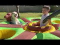 Giant Inflatable Husky Wack A Mole!!😂. [BEST VIDEO EVER!!!]