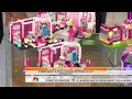 Lite Brix on The Today Show with Stephanie Oppenheim