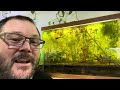 Cheap and Easy Fish and Plant Breeding Setup