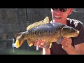 CARP FISHING IN LONDON Urban Banx 9 - East London