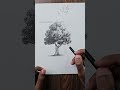 How to draw tree with pencil ✏️ : tutorial #shorts