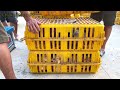 FULL VIDEO:150 Days of Raising Free-range Chickens,Collection of free-range chicken farms everywhere