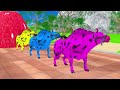 Paint & Animals Duck,Gorilla,Lion,Elephant,Cow,Sheep Fountain Crossing Transformation Animal Cartoon