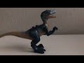 Raptor animation test