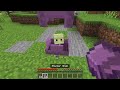How to tame SHULKER in Minecraft?