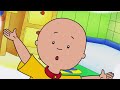 Growing Raspberries | Caillou Classics