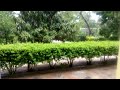 Rainwater harvesting dream Zambia