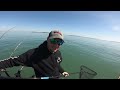 Trolling For BIG Lake Erie Walleyes | Organized Chaos!!!