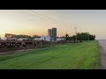 Feedlot near Benedict, Nebraska #cattle #farming #livestock #cow