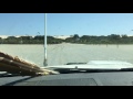 Crossing the Coorong