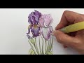 Derwent Inktense Tutorial - Colouring an Iris with Kelly O'Gorman