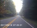 Small deer sighting after bridge