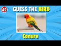 Guess 40 Birds In 5 Seconds | Birds Quiz | Animal Quiz