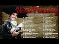 20 Vicente Fernandez Exitos Mix   Rancheras Y Corridos Mexicanas
