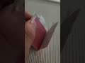 Pink Paper Peppermints Mini Slide Book