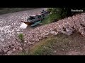 Những Đàn Vịt Nhiều Khủng Nhất Hành Tinh | The Most Terrible Ducks on the Planet |Thanh Hoai KG