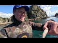 Island Paradise Catch & Cook (Spearfishing)