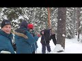 Yellowstone In Winter HD