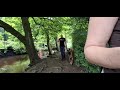 Beautiful Giant Malinois has a refreshing cool off in canal with the ducks