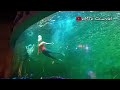 WOW !! Penyelam dan Balerina Menari Dengan Ribuan Ikan di Ocean Dream Samudra Ancol