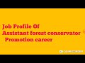 Assistant forest conservator JOb profile and promotion