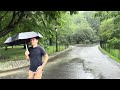 Heavy Rain & Thunderstorm Walk in Central Park