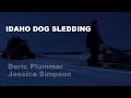 Dog Sledding Winter 2016