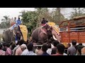 | elephant attack in Kerala 2024|ആന വിരണ്ടോടി 🐘🐘🐘പരുവകുന്ന് FEST 2024 അടിയെ തുടർന്നുള്ള സംഘർഷത്തിൽ 🐘