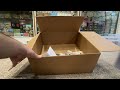 First Pokémon Mail Unboxing: Exciting Discoveries!