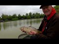 Live Fishing Match Topcroft Lakes #matchfishinguk #Topcroftlakes