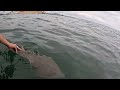 San Diego Bay- Fishing Action