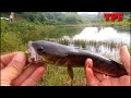 Snakehead fishing_Imitation of HL with a sharp blade || Fishing snakehead with fake bait