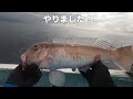 【白アマダイ釣り】白アマダイの釣り方も分からぬまま初挑戦でデカ白甘鯛をゲット