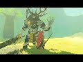 Flurry Rush vs a Silver Lynel in Tears of the Kingdom...