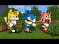 Sonic And Amy and Tails - The Wheel of Fortune Good Ending | FNF Minecraft Animation