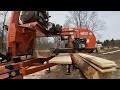 Black Fly Sawmilling # 326