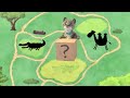 ANIMATED ADVENTURE OF A LITTLE KITTEN cartoon about kittens and new cartoons NEW FUNNY CATS 🙀