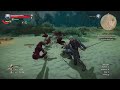 The Witcher 3: Wild Hunt -- killing two with one finisher