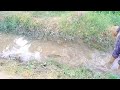 3 child, amazing fishing with mini tractor