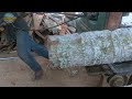 Sawmill Operation | Turning Coconut Wood into Housing Materials