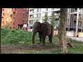 Farewell to the Elephant and Castle Shopping Centre