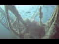 Keys Diving