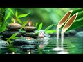 Peaceful Nature Music - Healing Music, Bamboo Music, Study & Relaxation Music, Nature Sounds